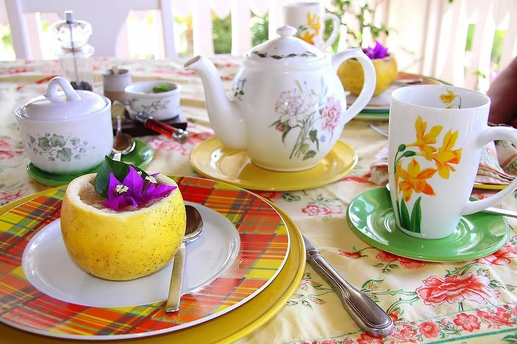 *****  Rock Haven Bed & Breakfast Basseterre Svatý Kryštof a Nevis
