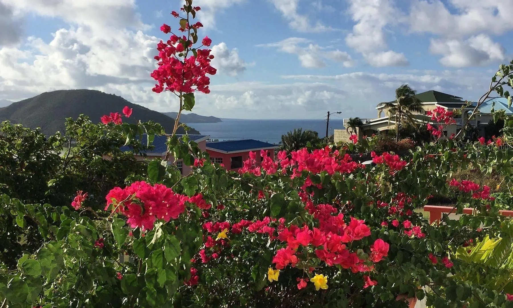 Rock Haven Bed & Breakfast Basseterre
